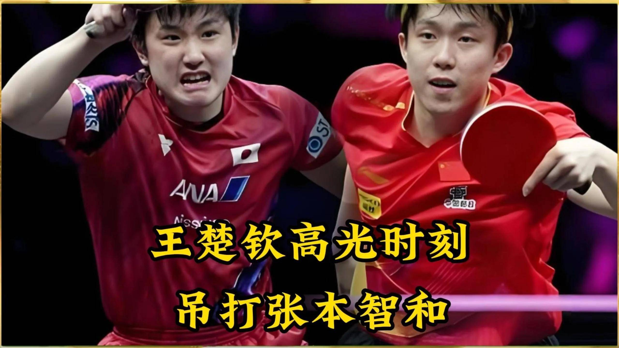 法国乒乓球队险胜波兰乒乓球队,张本智和统治全场 法国乒乓球队险胜波兰乒乓球队,张本智和统治全场