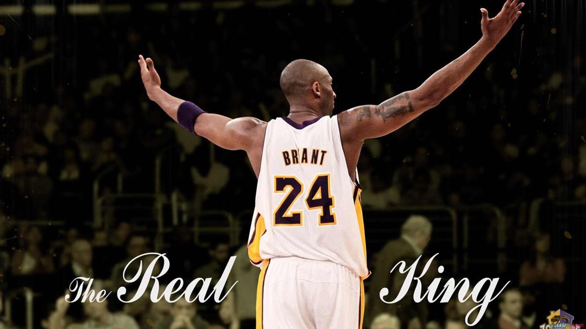 数据之王与逆转奇迹，阿什拉夫的统治级表演与奥地利的绝地反击